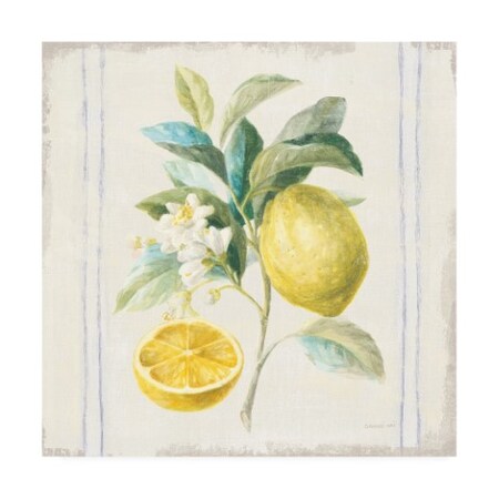 Trademark Fine Art